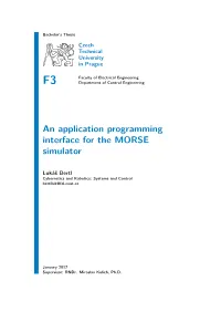 An Application Programming Interface for the MORSE Simulator