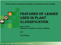 Features of Leaves Used in Plant Classification