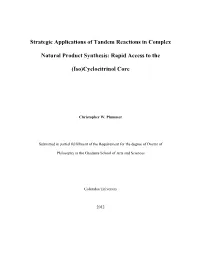Strategic Applications of Tandem Reactions in Complex Natural Product Synthesis