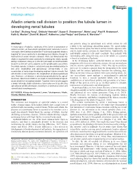Afadin Orients Cell Division to Position the Tubule Lumen in Developing Renal Tubules Lei Gao1, Zhufeng Yang1, Chitkale Hiremath1, Susan E