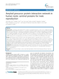 Amyloid Precursor Protein Interaction Network in Human Testis