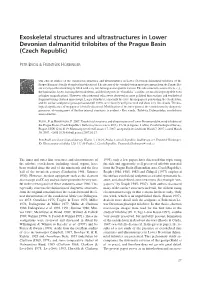 Exoskeletal Structures and Ultrastructures in Lower Devonian Dalmanitid Trilobites of the Prague Basin (Czech Republic)