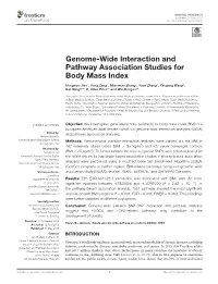 Genome-Wide Interaction and Pathway Association Studies for Body Mass Index