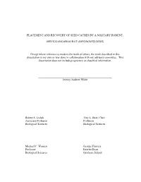 Placement and Recovery of Seed Caches by a Solitary Rodent