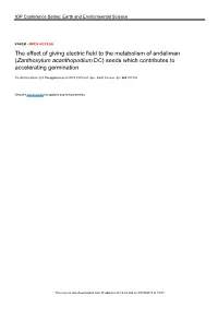Zanthoxylum Acanthopodium DC) Seeds Which Contributes to Accelerating Germination