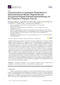 Characterization of Asparagine Deamidation in Immunodominant