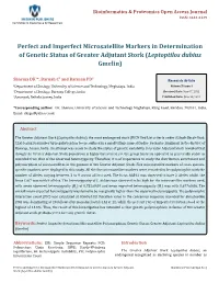 Perfect and Imperfect Microsatellite Markers in Determination of Genetic Status of Greater Adjutant Stork (Leptoptilos Dubius Gmelin)