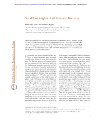 Small but Mighty: Cell Size and Bacteria