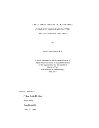 A Settlement History of Okeeheepkee: Community