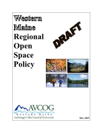 Open Space Policy 8 04 09