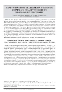 Genetic Diversity of a Brazilian Wine Grape Germplasm Collection Based on Morphoagronomic Traits1