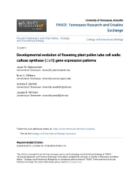 Developmental Evolution of Flowering Plant Pollen Tube Cell Walls: Callose Synthase (Cals) Gene Expression Patterns