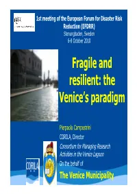 EFDRR Resilient Venice