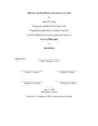 Lasttraderdissertation.Pdf (1.690Mb)