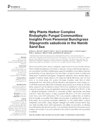 Why Plants Harbor Complex Endophytic Fungal Communities: Insights from Perennial Bunchgrass Stipagrostis Sabulicola in the Namib Sand Sea