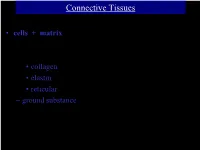 Connective Tissues