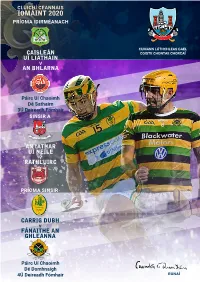 Hurling Final Programme