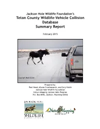 JHWF Wildlife Vehicle Collision Database Summary Report FINAL