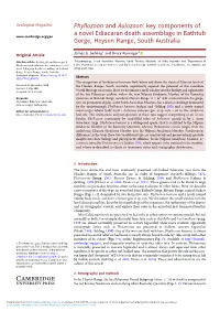 Phyllozoon and Aulozoon: Key Components of a Novel Ediacaran