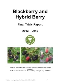 Raspberry Final Report