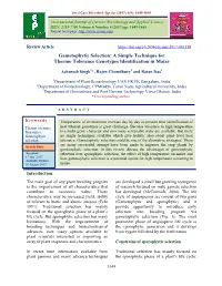 Gametophytic Selection: a Simple Technique for Thermo Tolerance Genotypes Identification in Maize