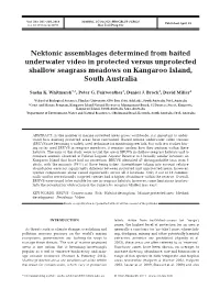 Nektonic Assemblages Determined from Baited Underwater Video in Protected Versus Unprotected Shallow Seagrass Meadows on Kangaroo Island, South Australia