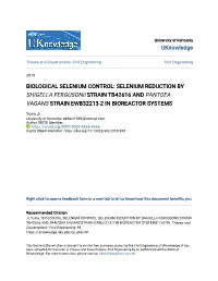 Selenium Reduction by Shigella Fergusonii Strain Tb42616 and Pantoea Vagans Strain Ewb32213-2 in Bioreactor Systems