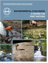 ENVIRONMENTAL FLOW NEEDS a PRIMER for FIRST NATIONS Cover Page: L-R, T-B