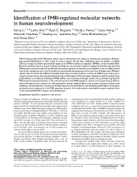 Identification of FMR1-Regulated Molecular Networks in Human Neurodevelopment