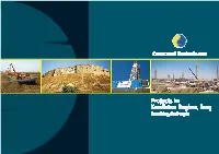 Kurdistan Projects in Picture