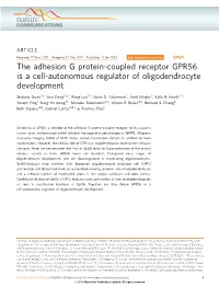 The Adhesion G Protein-Coupled Receptor GPR56 Is a Cell-Autonomous Regulator of Oligodendrocyte Development