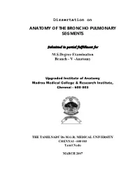 Dissertation on ANATOMY of the BRONCHO PULMONARY SEGMENTS