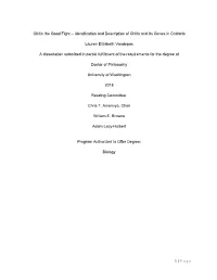 Identification and Description of Chitin and Its Genes in Cnidaria