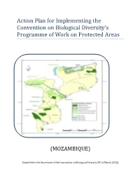 Action Plan for Implementing the Convention on Biological Diversity's