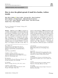 How to Slow the Global Spread of Small Hive Beetles, Aethina Tumida