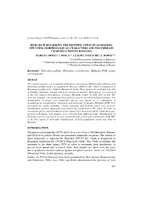 Research Regarding the Identification of Globodera Spp