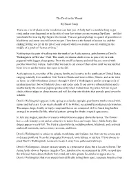 The Devil in the Woods by Susan Camp There Are a Lot of Plants in the Woods That Can Hurt You. a Holly Leaf Is a Terrible Thing