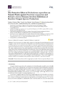 The Protective Effect of Trichoderma Asperellum on Tomato Plants