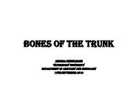 Bones of the Trunk