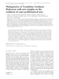 Phylogenetics of Trachylina (Cnidaria: Hydrozoa) with New Insights on the Evolution of Some Problematical Taxa Allen G