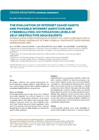 The Evaluation of Internet Usage Habits and Possible