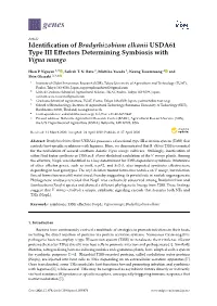 Identification of Bradyrhizobium Elkanii USDA61 Type III Effectors