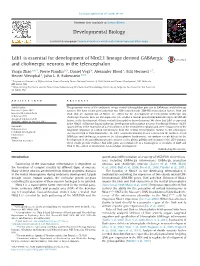 Ldb1 Is Essential for Development of Nkx2.1 Lineage Derived Gabaergic and Cholinergic Neurons in the Telencephalon