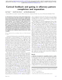 Cortical Feedback and Gating in Olfactory Pattern Completion and Separation