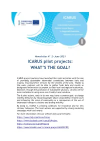 ICARUS Pilot Projects: WHAT's the GOAL?