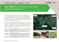 New Mining Rush – Mining Projects to Reuse Former Wismut Sites