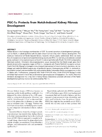 PGC-1A Protects from Notch-Induced Kidney Fibrosis Development