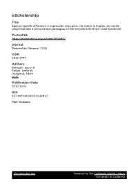 Qt4ff4w947.Pdf
