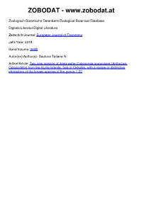 Anthozoa: Octocorallia