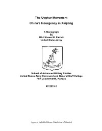 China's Insurgency in Xinjiang